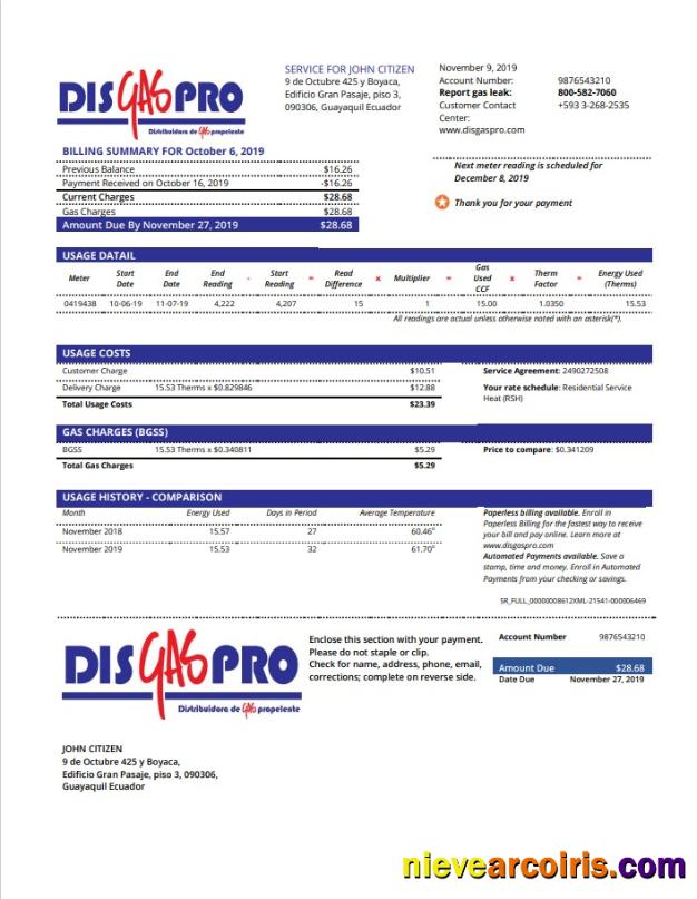 Ecuador Disgaspro gas utility bill